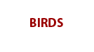 link to bird page